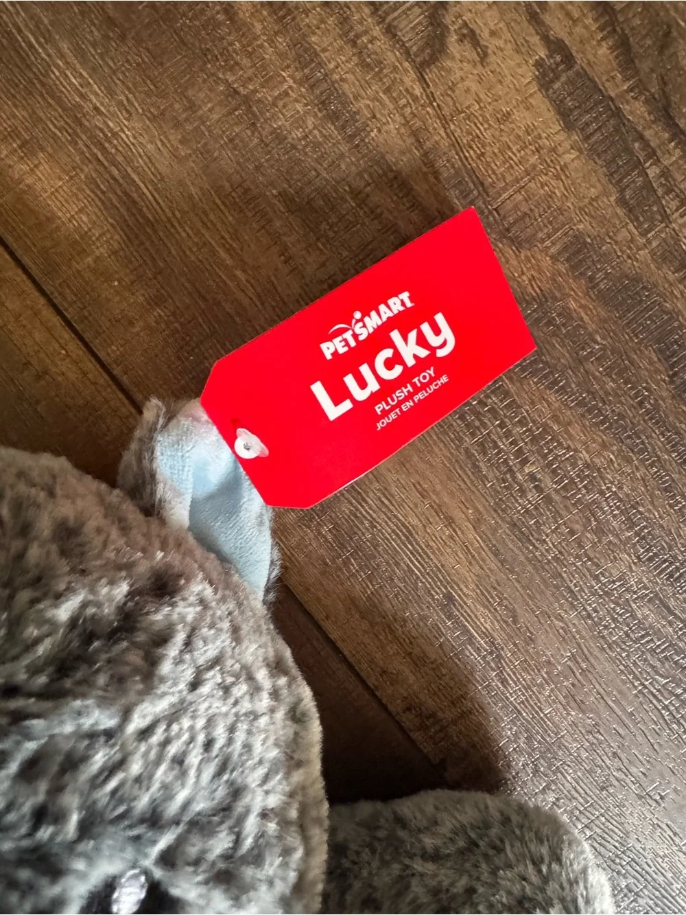 Petsmart soft gray